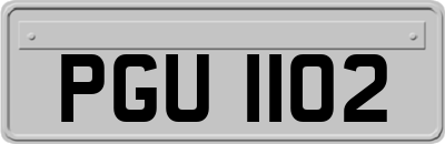PGU1102
