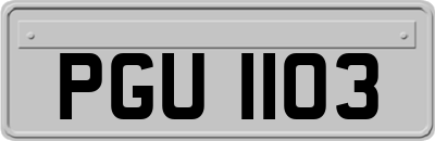 PGU1103