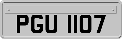PGU1107