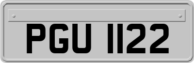 PGU1122