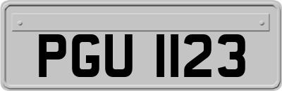 PGU1123