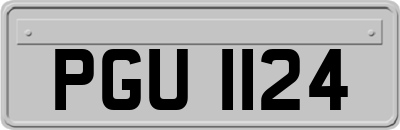 PGU1124