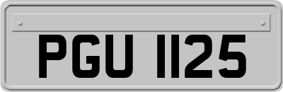 PGU1125