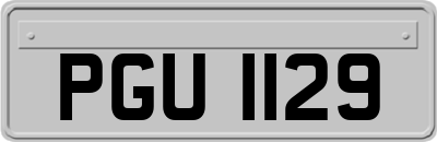 PGU1129