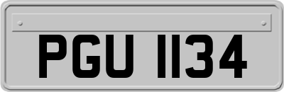 PGU1134