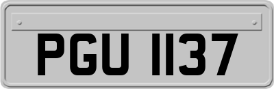 PGU1137