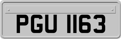PGU1163