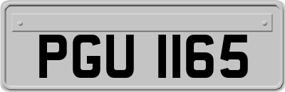 PGU1165