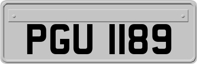 PGU1189