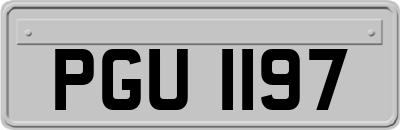 PGU1197