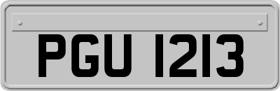 PGU1213