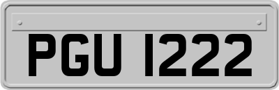 PGU1222