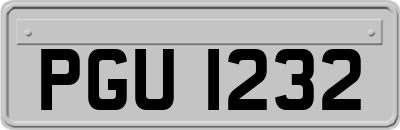 PGU1232