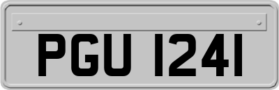 PGU1241