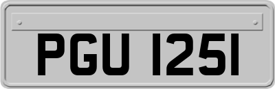 PGU1251