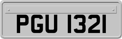 PGU1321