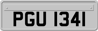 PGU1341