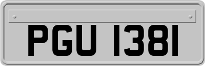 PGU1381