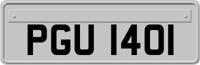 PGU1401