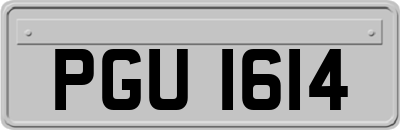 PGU1614