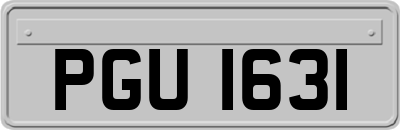 PGU1631