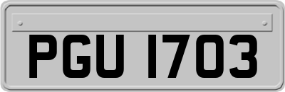 PGU1703