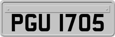 PGU1705