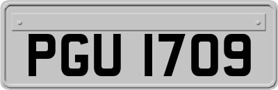 PGU1709