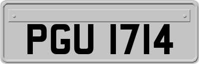 PGU1714