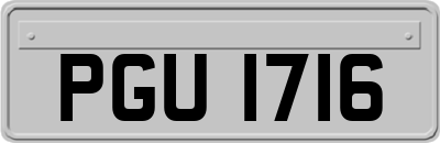 PGU1716