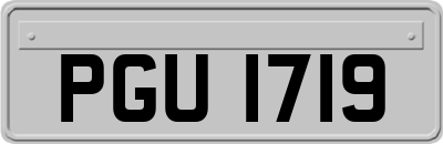 PGU1719