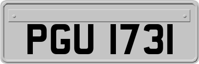 PGU1731