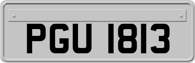 PGU1813