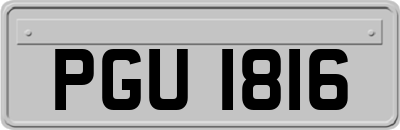 PGU1816