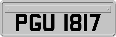 PGU1817
