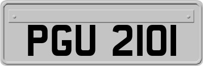 PGU2101