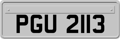 PGU2113