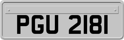 PGU2181