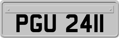 PGU2411