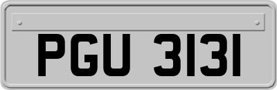 PGU3131