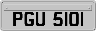 PGU5101