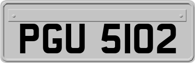 PGU5102