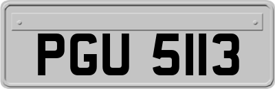 PGU5113