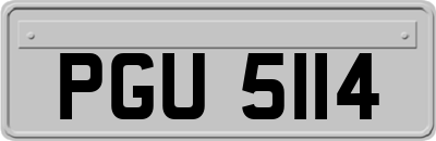PGU5114