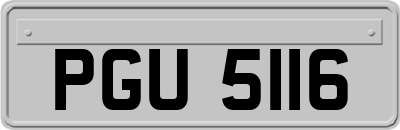 PGU5116