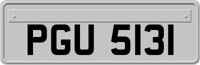PGU5131