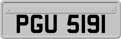 PGU5191