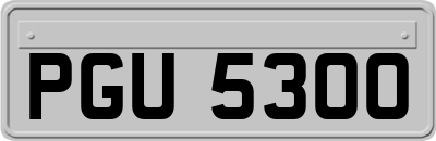 PGU5300