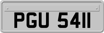PGU5411