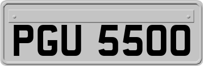PGU5500